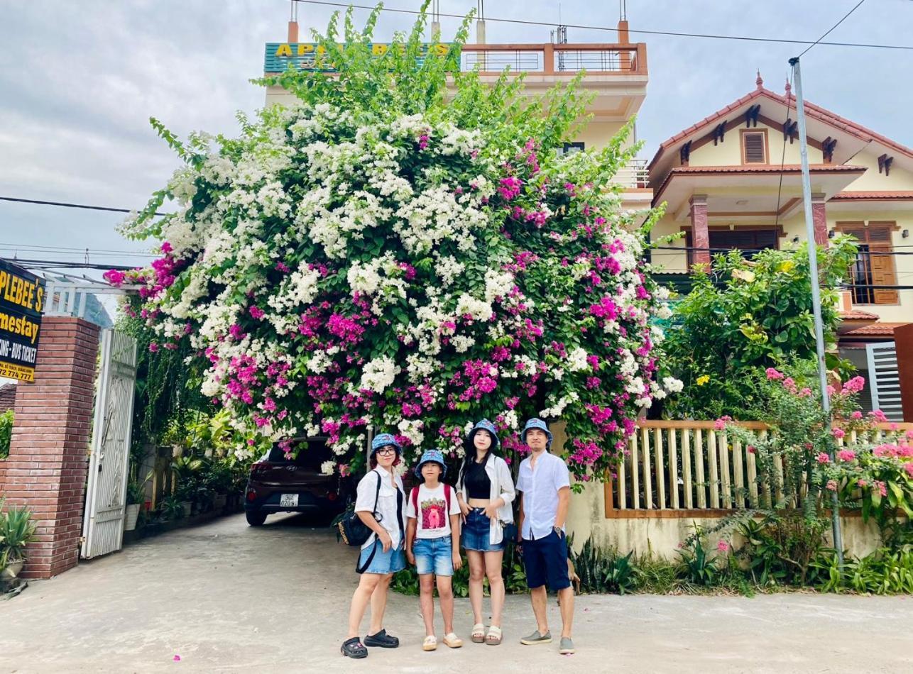 Applebee'S Homestay Phong Nha Exterior foto